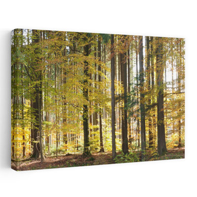 Arbres en automne, Hohenlohe, Bade-Wurtourg, Allemagne, forêt abstraite, art contemporain