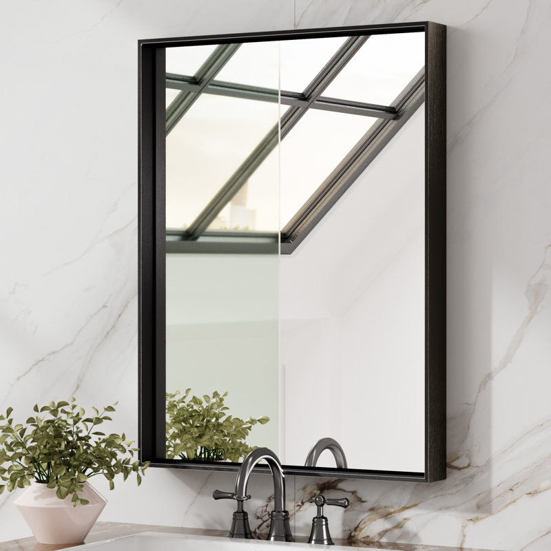 Stemn Framed Bathroom Vanity Mirror Accent Mirror, Noir, 32" x 24"