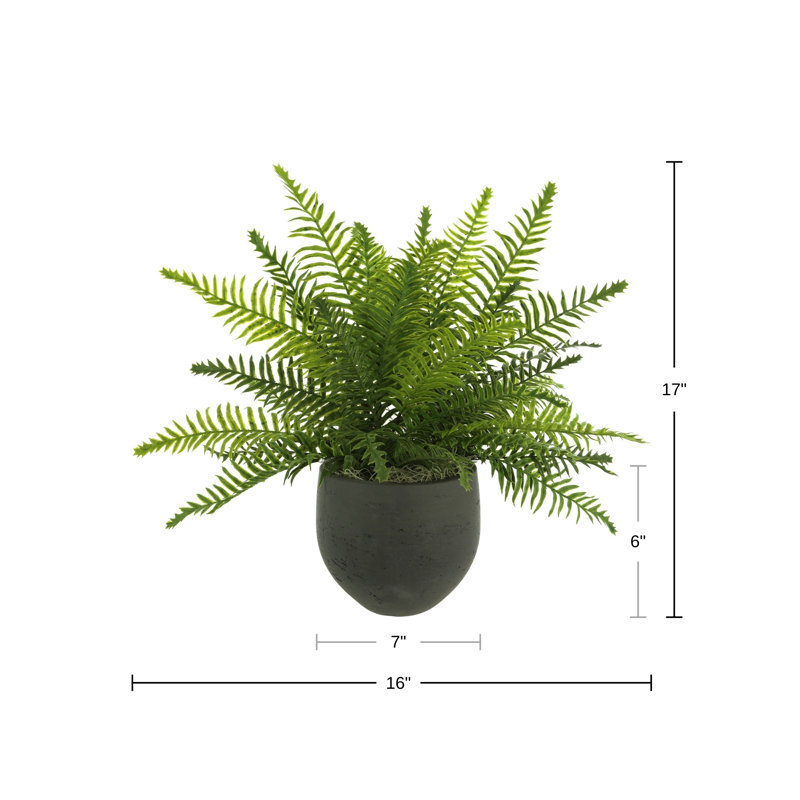 Outdoor UV-Rated Fern in Fiberstone Pot, Black