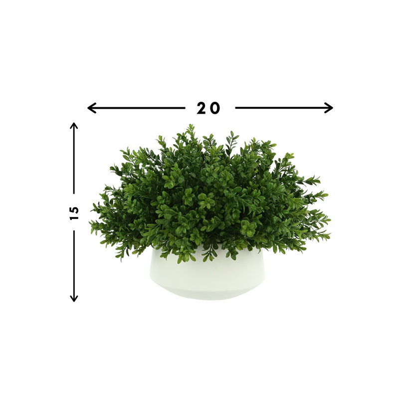 15'' Faux Boxwood Plant in Ceramic Pot