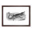 Crocodile in Black & White by George Shaw - Framed Print-55621407-55621411