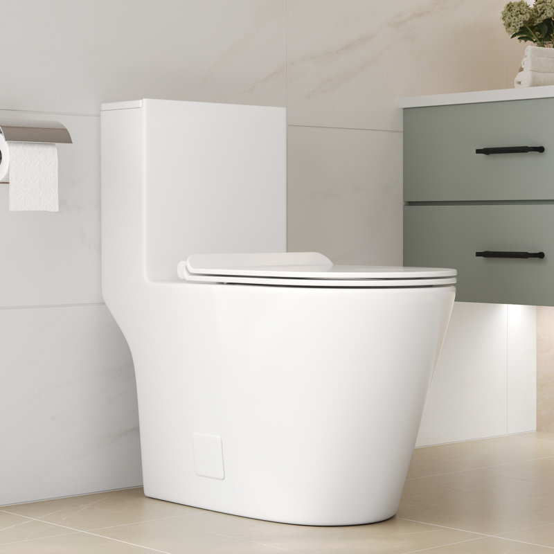 DeerValley One Piece Modern Toilet, Elongated Dual Flush Standard White Toilet with Comfort ADA Seat Height(Seat Included)