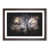 Walnut Framed selected