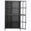 Premium Black Metal Storage Cabinet with Tempered Glass Doors, Adjustable Shelves