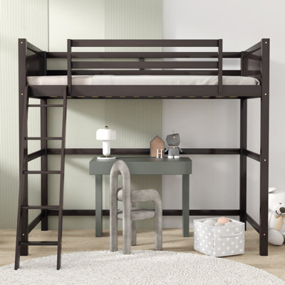 Eryss Kids Twin Loft Bed