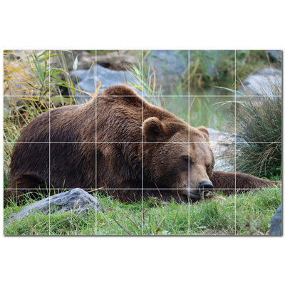 Bear Photo 8'' x 8'' Satin Ceramic Decorative Mural