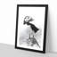 The Atlantic Puffin Bird - Framed Print-56921019-56921023