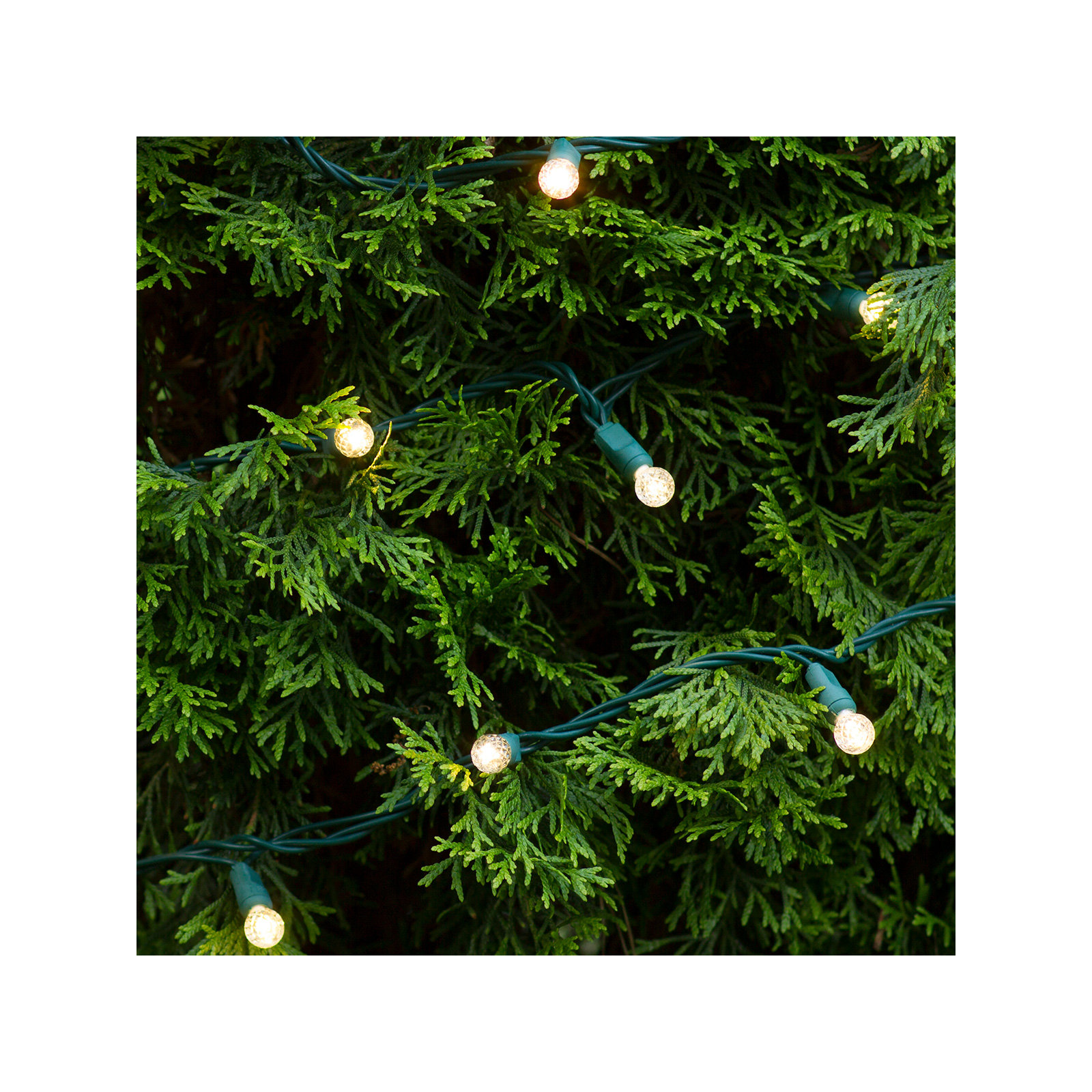 70 Light LED Mini Globe String Lights, Warm White