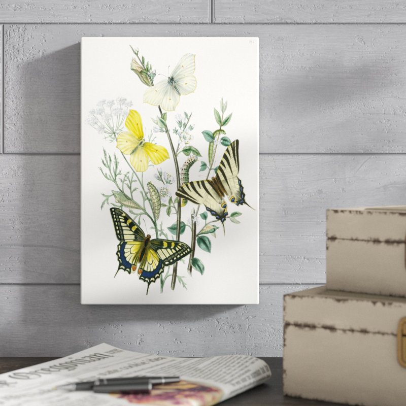 British Butterflies II - Painting on Canvas, 30cm H x 20cm W, Wrapped Canvas