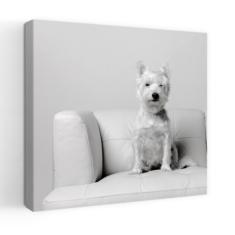 Art contemporain blanc sur blanc, H 18 po x l 18 po