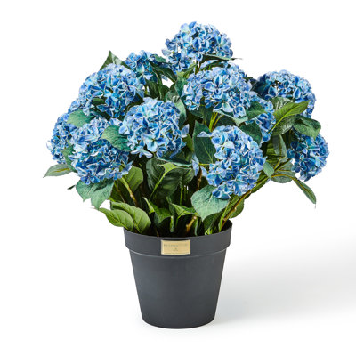 Hydrangea Urn Filler