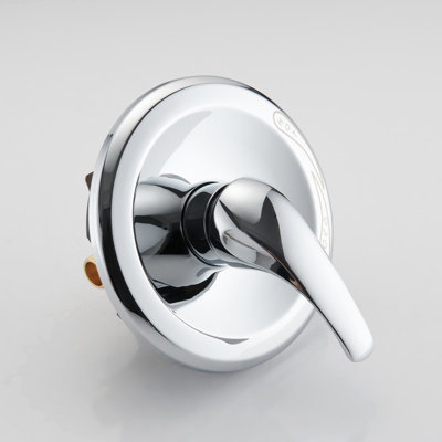 Shower Valve