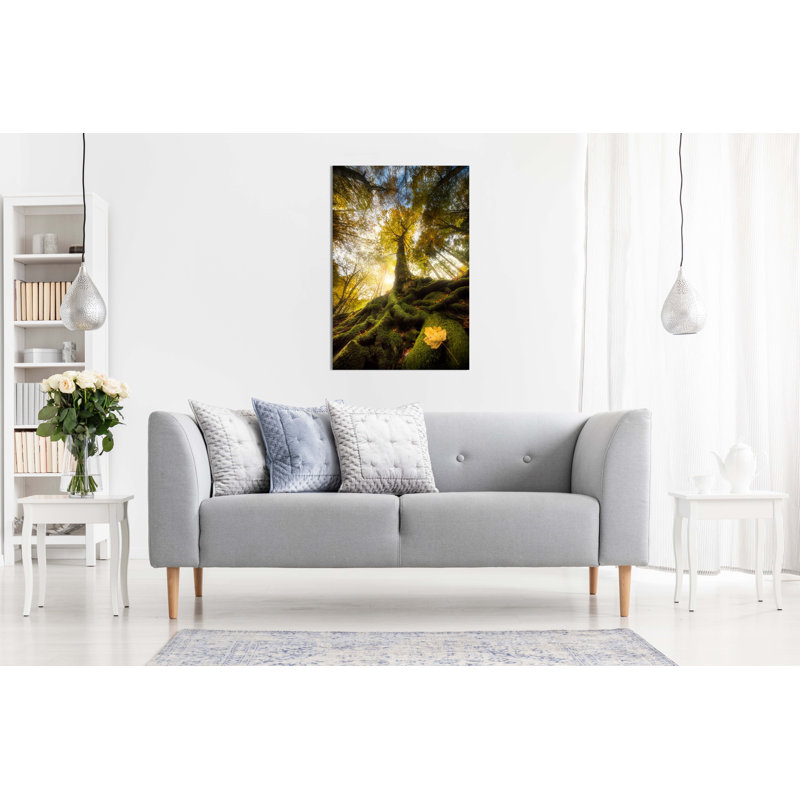 Majestic Trees In Autumn - Wrapped Canvas Print, 76cm H x 51cm W