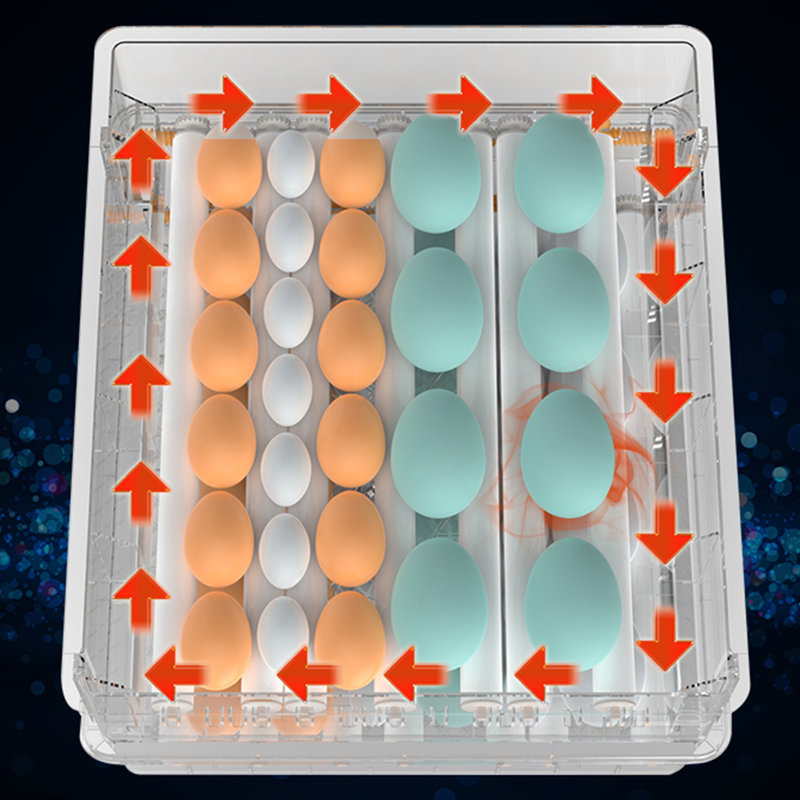 Addai Chicken Egg Incubator For Up To 60+ Eggs