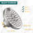 Rain Fixed Shower Head 1.8 GPM GPM-86780055