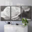 Roseudes IV - Toile encadrée multi-pièces-314373212-314373213