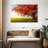 Harnek Autumn Oak Tree-107699203