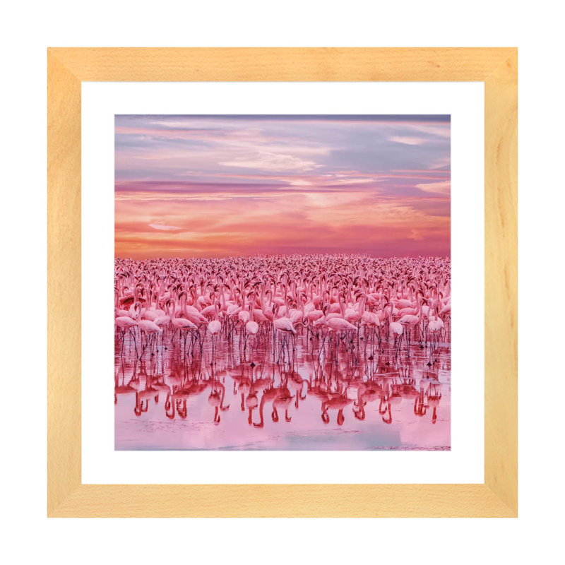 «Flamingo? S Sunset» par Hobopeeba - reproduction d'art, Toile avec cadre en bois beige, Blanc, H 24 po x l 24 po x p 1 po