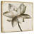 Harnek Sepia Lotus I-109210485