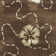 Coreatha Martha Stewart Viscos/Wool Floral Rug in Mocha/Ivory