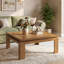 Solid Wood Coffee Table
