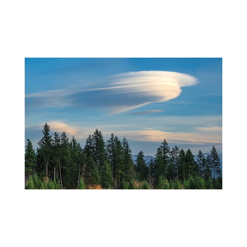 Lenticular 1 Piece Wrapped Canvas Wall Art, 30.48 cm H x 45.72 cm W