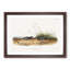 Shrew Moles by J.W. Audubon - Picture Frame Painting Print-55619203-55619208