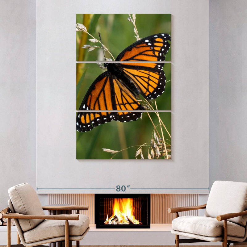Brampt Monarch Butterfly Up Close, 74" H x 48" W