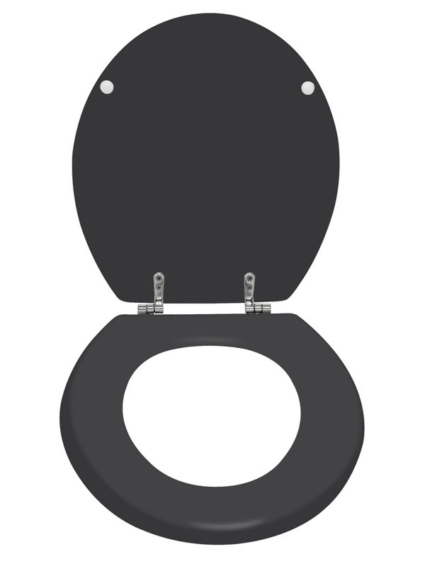 Postfield Toilet Seat, Matt Black
