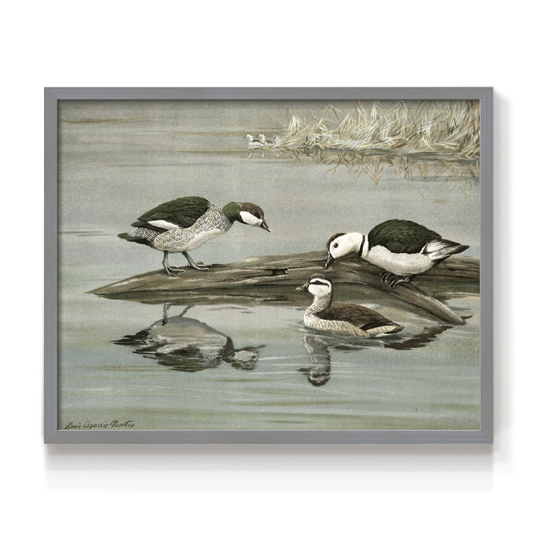 Faune rétro-11 - Reproduction encadrée - Restickable, H 8 po x l 10 po, Gris