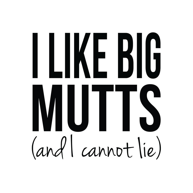 I Like Big Mutts And I Cannot Lie - Wrapped Canvas Print, 122cm H x 122cm W x 3.8cm D