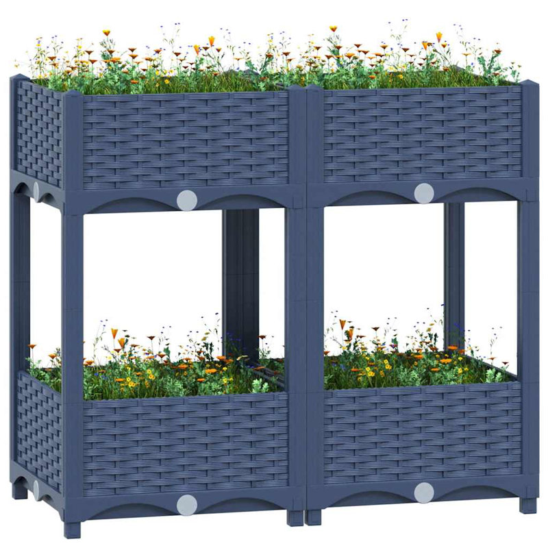 Frauke Planter