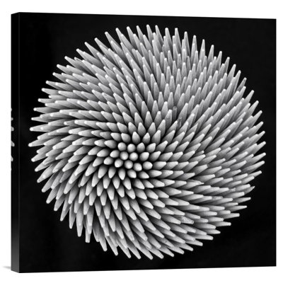 " Hypnosis " by Giorgio Toniolo