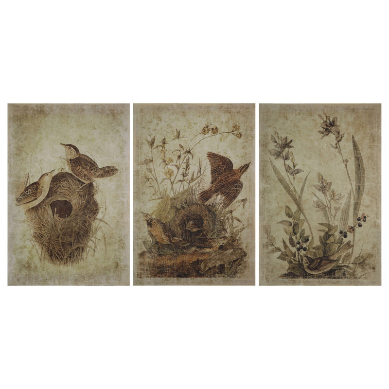 Decorator Paper with Bird Prints