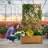 Samario Raised Garden Bed