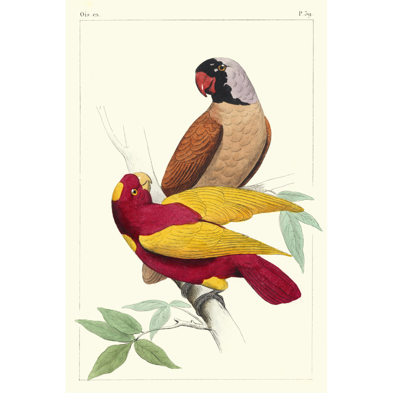 Lemaire Parrots II by C.L. Lemaire - Painting, 91 cm H x 61 cm W, Wrapped Canvas