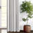 August Stripe-105537097-105537096