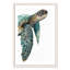 Grande tortue de mer - reproduction de cadre photo-64010152-64010134
