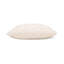 Weave Bisque Handwoven Dimensional Indoor & Outdoor Woven Accent Pillow & Insert-356164260