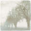 Mystic Morning III Print by Mari Urasawa-26773625-26773630