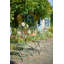 Arbas Patio Dining Side Chair-1748551025
