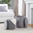 Carlesia Upholstered Ottoman-455018908