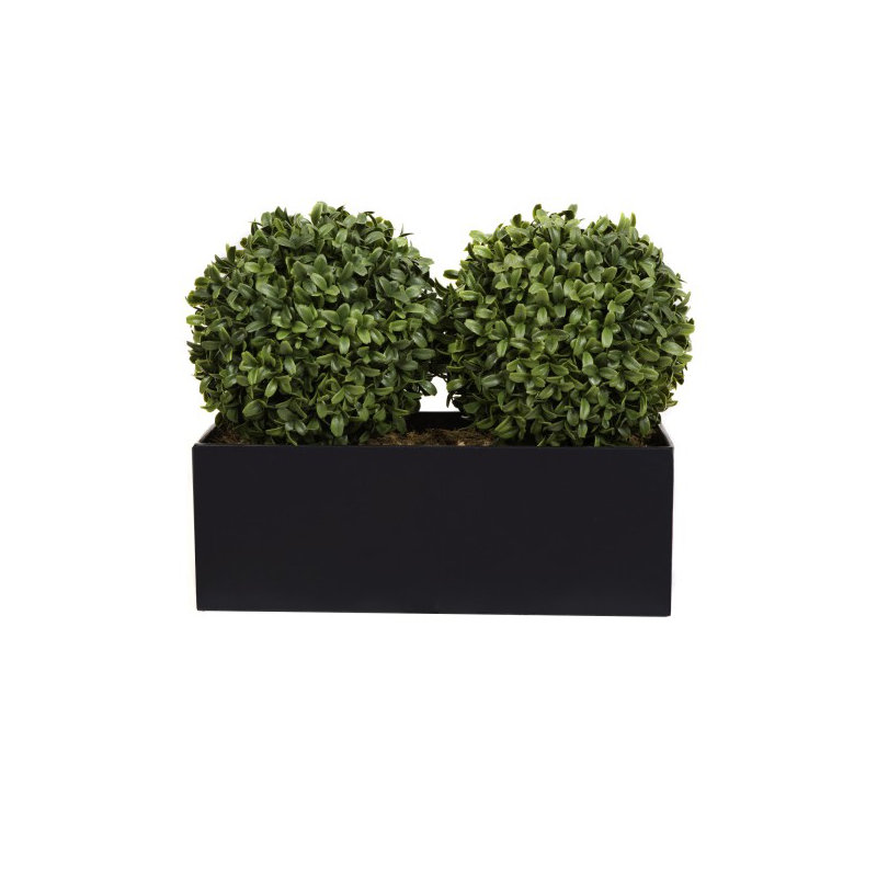 50.8cm Plant