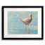 Plover Ll Print by Phyllis Adams-1635981071