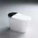 Wynn 1-Piece 1.28/1.6 GPF Auto-Flush Elongated Smart Toilet Display With Built-In Bidet