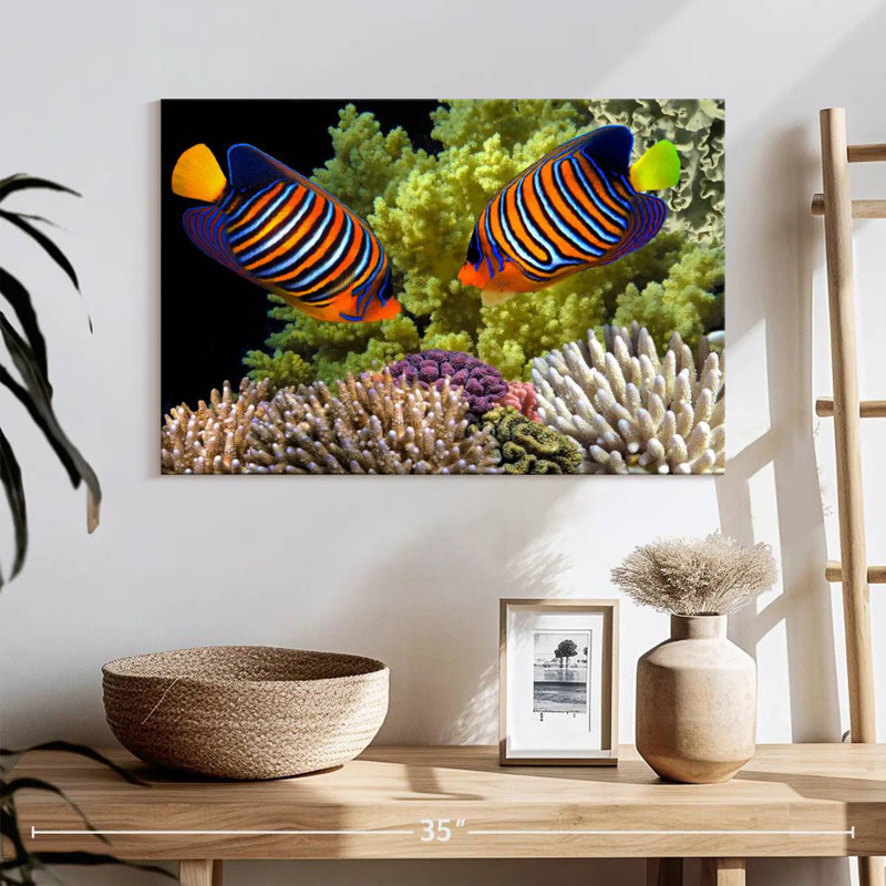 Brampt Red Sea Reef Regal Angelfish, 16" H x 24" W