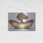«Brown Dachshund Hotdog Car» par Danny Gordon-745037022