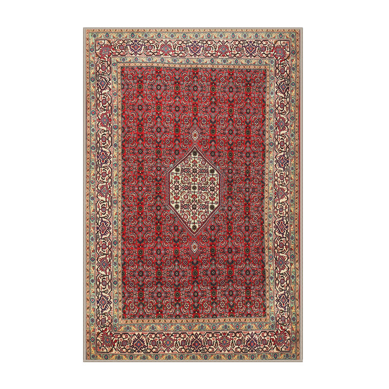 Tapis traditionnel rouge / brun Burwinda, Rectangle 5 pi x 7 pi