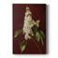 FLORAL Series CCV - Gallery Cavas-117862726