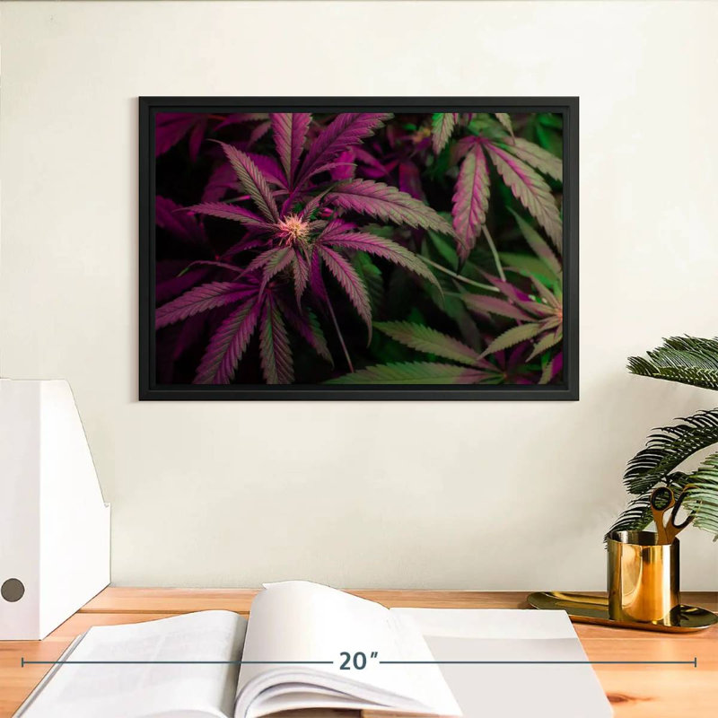 Lavande, marijuana, Cadre flottant noir, 13 po x 9 po